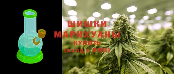 хмурый Нея